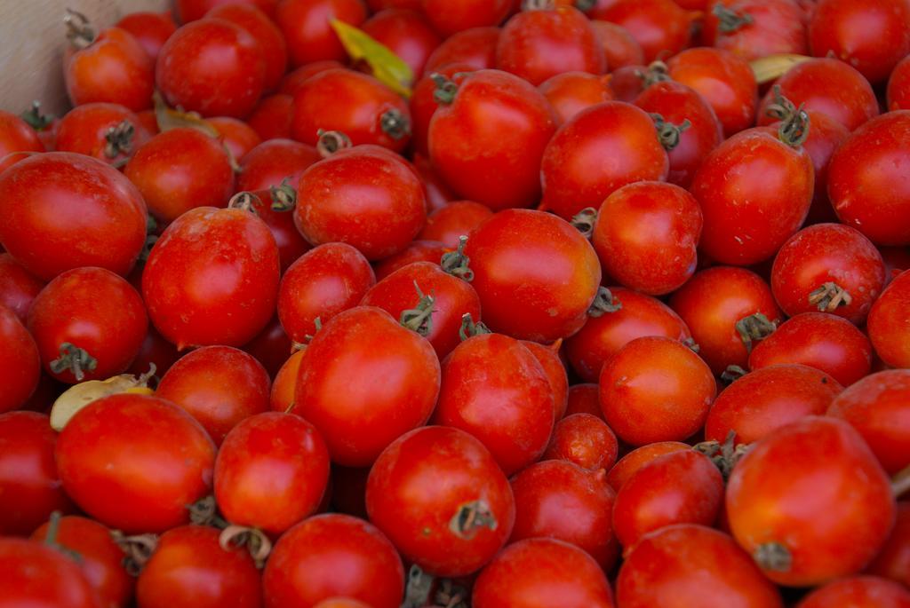 Domus Agricolae Corallina Torre del Greco Ngoại thất bức ảnh