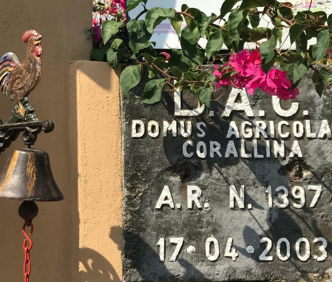 Domus Agricolae Corallina Torre del Greco Ngoại thất bức ảnh