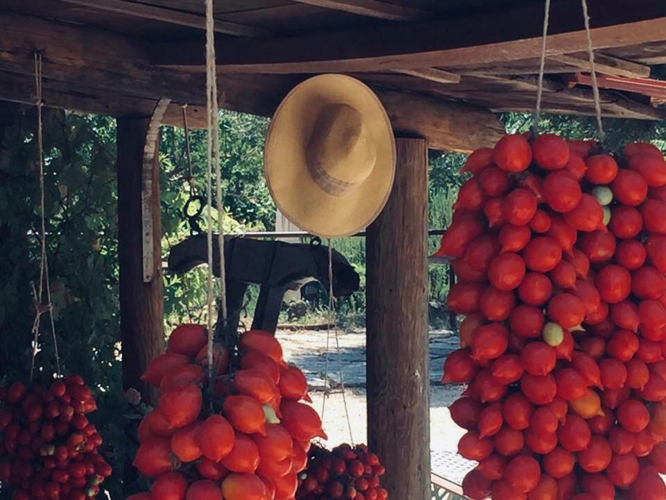 Domus Agricolae Corallina Torre del Greco Ngoại thất bức ảnh